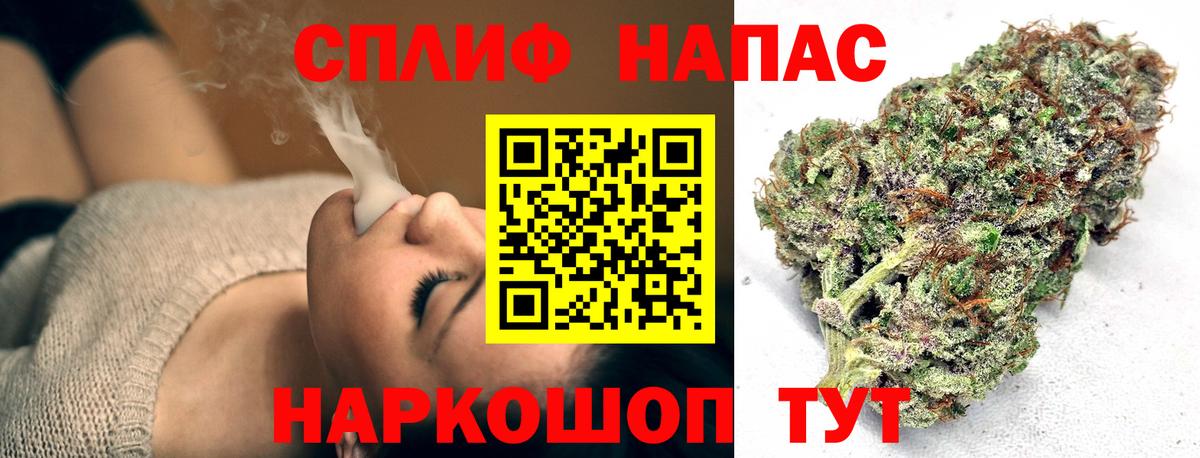Каннабис индика Сунжа
