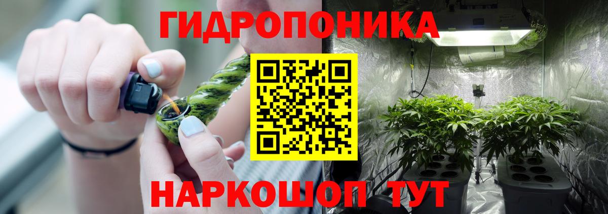 Сунжа  МАРИХУАНА OG Kush  Вход с VPN  Конопля гибрид 